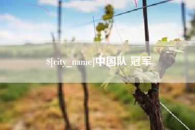 龙海中国队 冠军