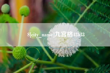 龙海九宫格42633
