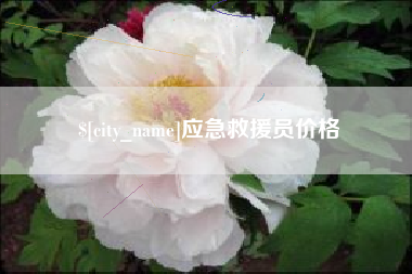 龙海应急救援员价格