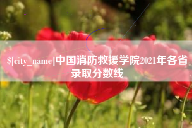 龙海中国消防救援学院2021年各省录取分数线