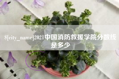 龙海2021中国消防救援学院分数线是多少