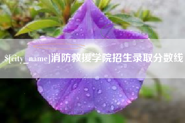 龙海消防救援学院招生录取分数线