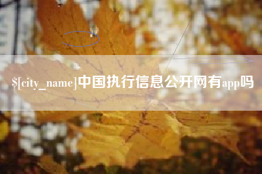 龙海中国执行信息公开网有app吗