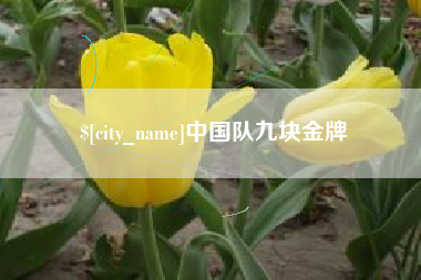 龙海中国队九块金牌