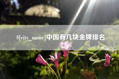 龙海中国有几块金牌排名