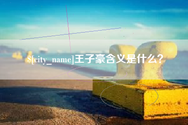 龙海王子豪含义是什么？