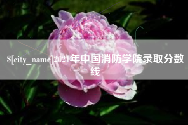 龙海2021年中国消防学院录取分数线