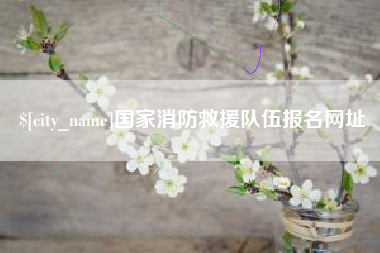 龙海国家消防救援队伍报名网址