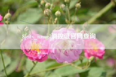 龙海消控证官网查询