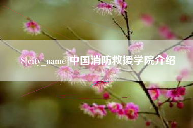 龙海中国消防救援学院介绍
