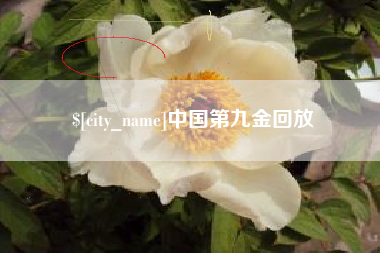 龙海中国第九金回放