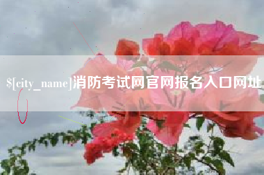 龙海消防考试网官网报名入口网址