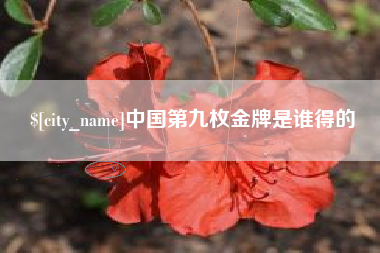 龙海中国第九枚金牌是谁得的