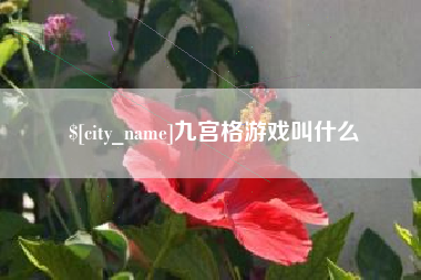 龙海九宫格游戏叫什么