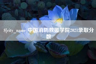 龙海中国消防救援学院2021录取分数