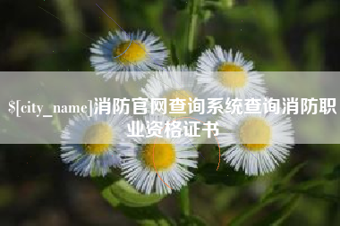 龙海消防官网查询系统查询消防职业资格证书