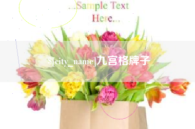 龙海九宫格牌子