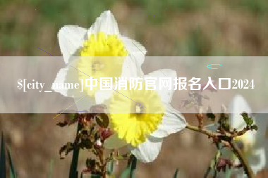 龙海中国消防官网报名入口2024