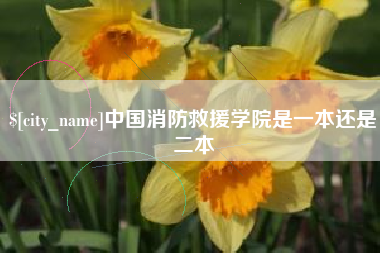 龙海中国消防救援学院是一本还是二本
