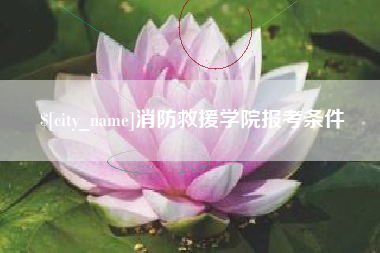 龙海消防救援学院报考条件