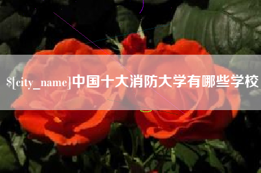 龙海中国十大消防大学有哪些学校