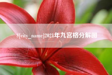 龙海2021年九宫格分解图