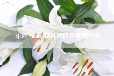 龙海森林消防日是哪一天