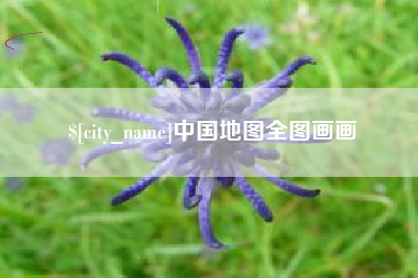 龙海中国地图全图画画