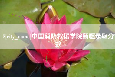 龙海中国消防救援学院新疆录取分数