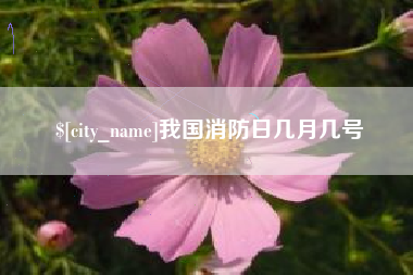 龙海我国消防日几月几号