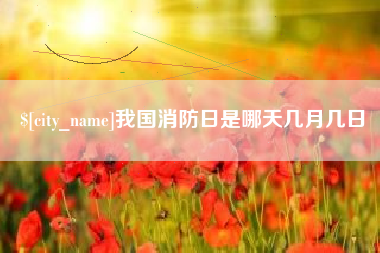 龙海我国消防日是哪天几月几日