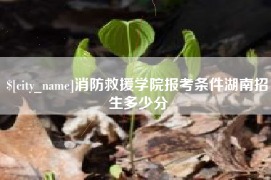 龙海消防救援学院报考条件湖南招生多少分