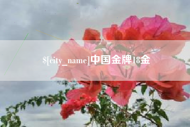 龙海中国金牌18金