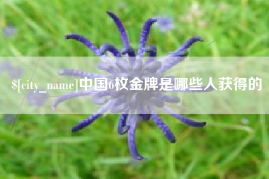 龙海中国6枚金牌是哪些人获得的