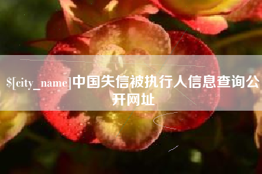 龙海中国失信被执行人信息查询公开网址