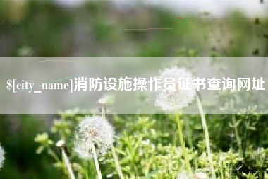 龙海消防设施操作员证书查询网址