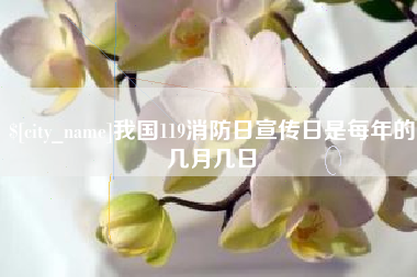 龙海我国119消防日宣传日是每年的几月几日