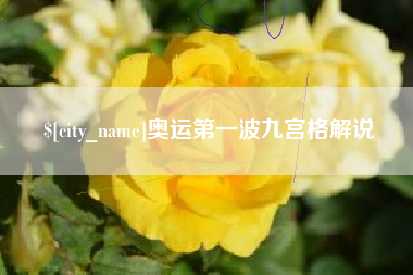 龙海奥运第一波九宫格解说