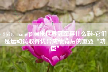 龙海5000米世界冠军穿什么鞋-它们是运动员取得优异成绩背后的重要“功臣”
