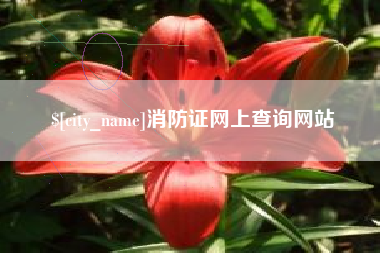 龙海消防证网上查询网站