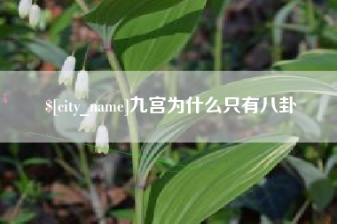 龙海九宫为什么只有八卦
