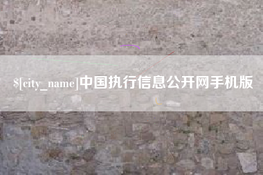 龙海中国执行信息公开网手机版
