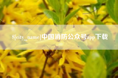 龙海中国消防公众号app下载