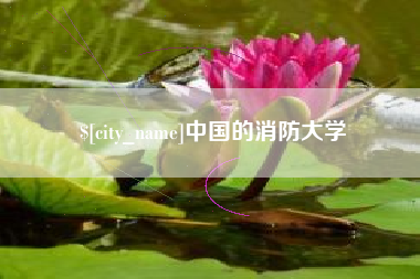 龙海中国的消防大学