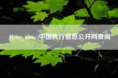 龙海中国执行信息公开网查询