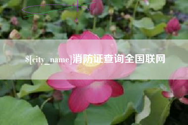 龙海消防证查询全国联网