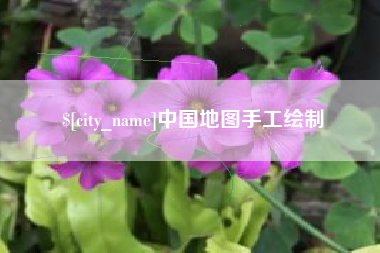 龙海中国地图手工绘制