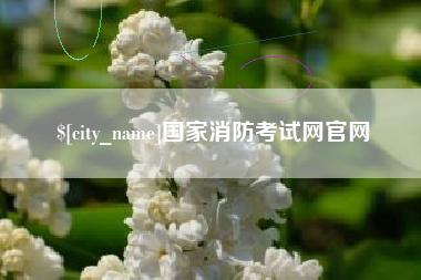 龙海国家消防考试网官网