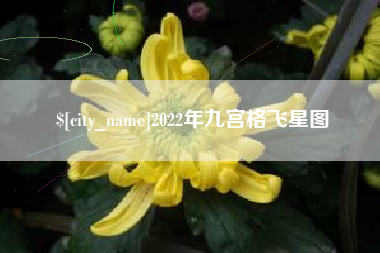龙海2022年九宫格飞星图