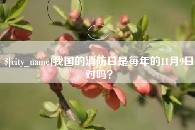 龙海我国的消防日是每年的11月9日对吗？